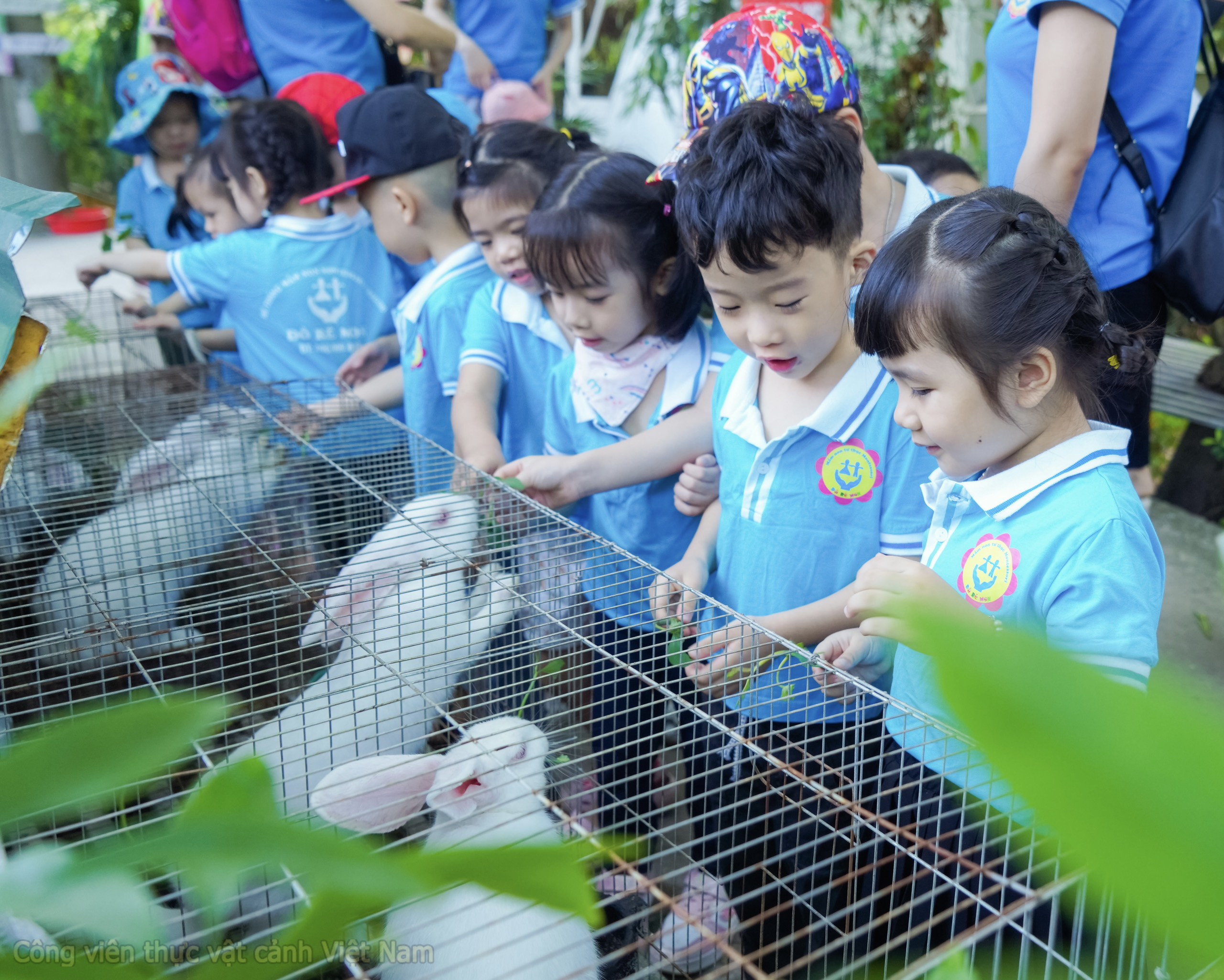 Mầm non Montessori Đô Rê Mon - Giảng Võ