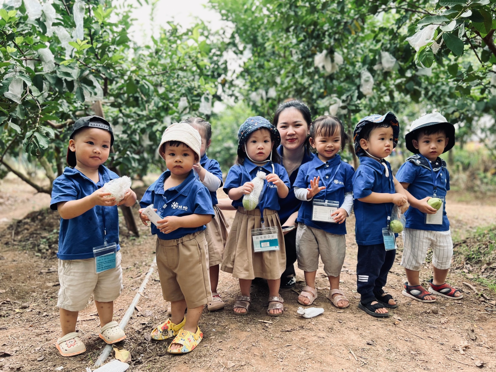 Двуязычный | Trường Mầm Non Sao Hà Nội (Hanoi Little Star Kindergarten) - Ngoại Giao Đoàn