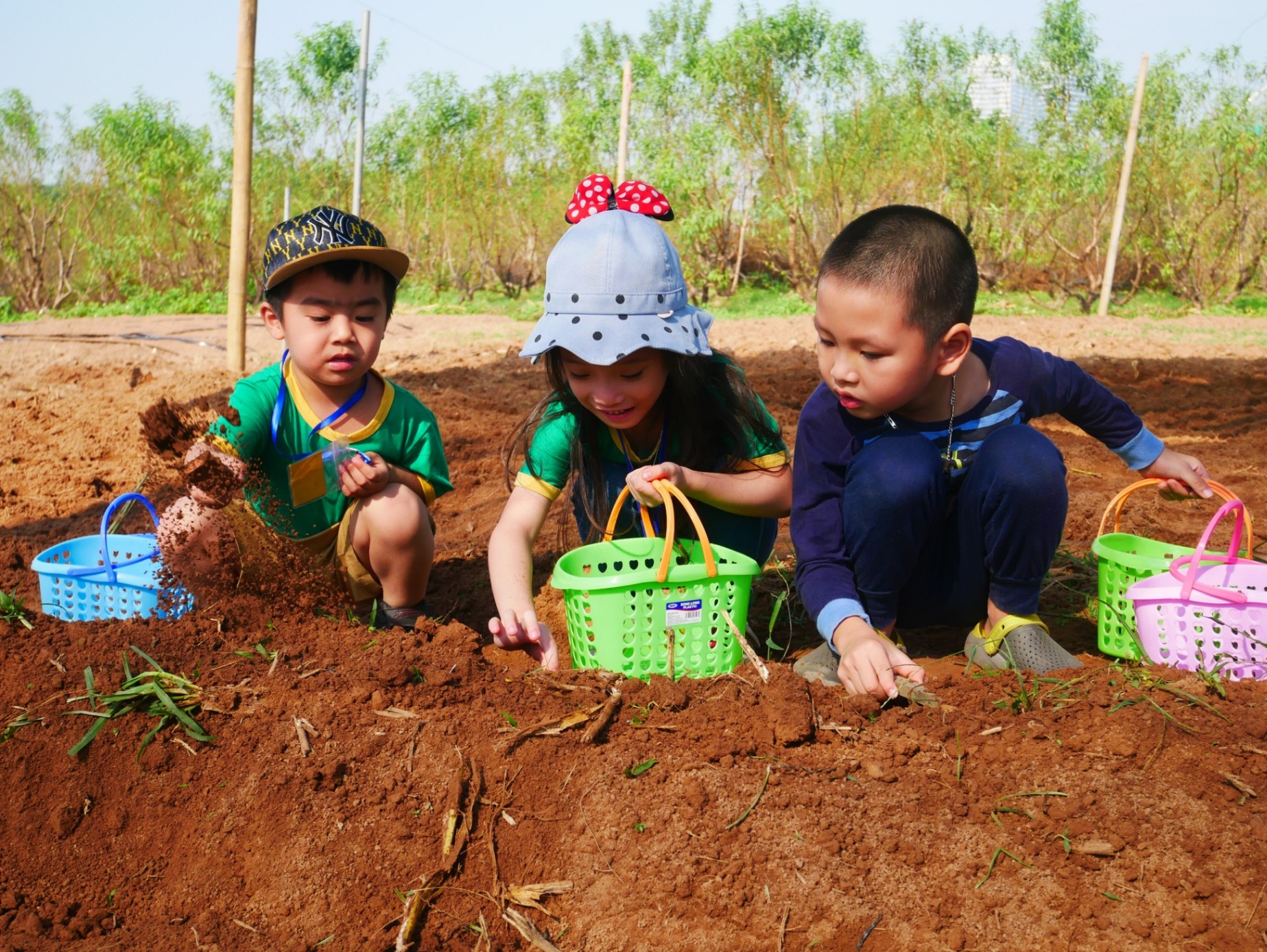 Privat | Mầm Non Trẻ Em Việt - Vietkids Plus - Xuân Đỉnh